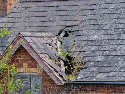 Professional water damage restoration services in San Antonio - San Antonio Restoration Pros