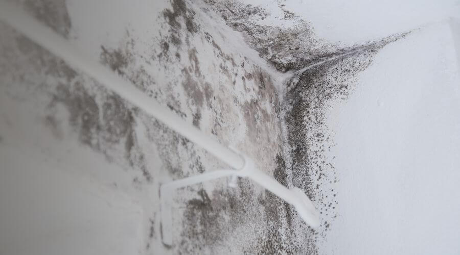 Why choose San Antonio Restoration Pros for water damage restoration in San Antonio